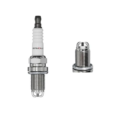 Nikel Spark plug zfremal 2889